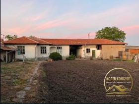 ������ ������� ����