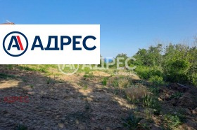 Plot m-t Priboy, Varna