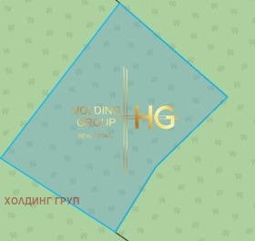 ����� ������� ������,���� �����, ������