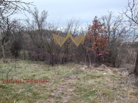 ������� ������ | Imot.bg � ����� ������ 3