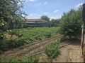 Продава КЪЩА, област Пловдив, с. Трилистник • 99500 € • 67055830 — Holmes.bg