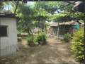Продава КЪЩА, област Пловдив, с. Трилистник • 99500 € • 67055830 — Holmes.bg