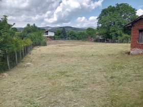   , . ,  