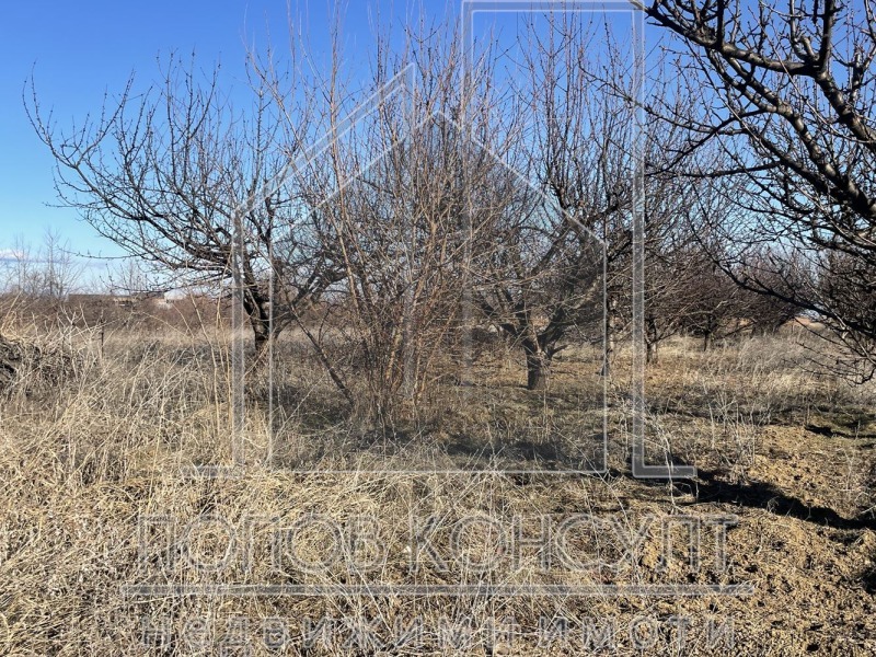 Til salgs  Plott region Plovdiv , Branipole , 3225 kvm | 88205946 - bilde [2]
