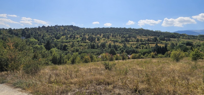 Til salgs  Plott Sofia , Pansjarevo , 702 kvm | 79099438 - bilde [3]