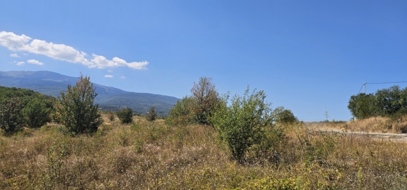 Til salgs  Plott Sofia , Pansjarevo , 702 kvm | 79099438 - bilde [4]