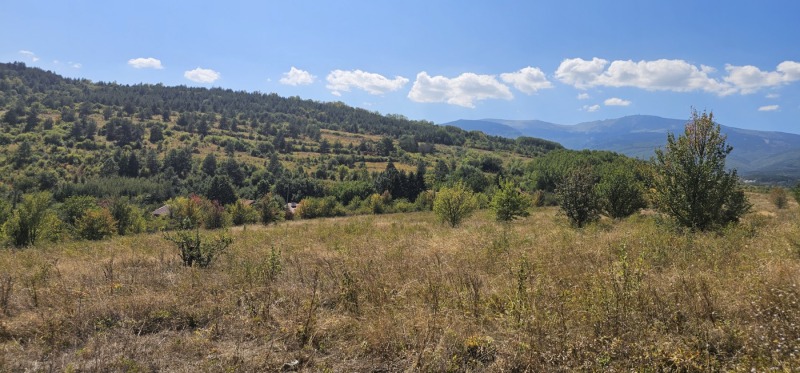 Til salgs  Plott Sofia , Pansjarevo , 702 kvm | 79099438 - bilde [2]