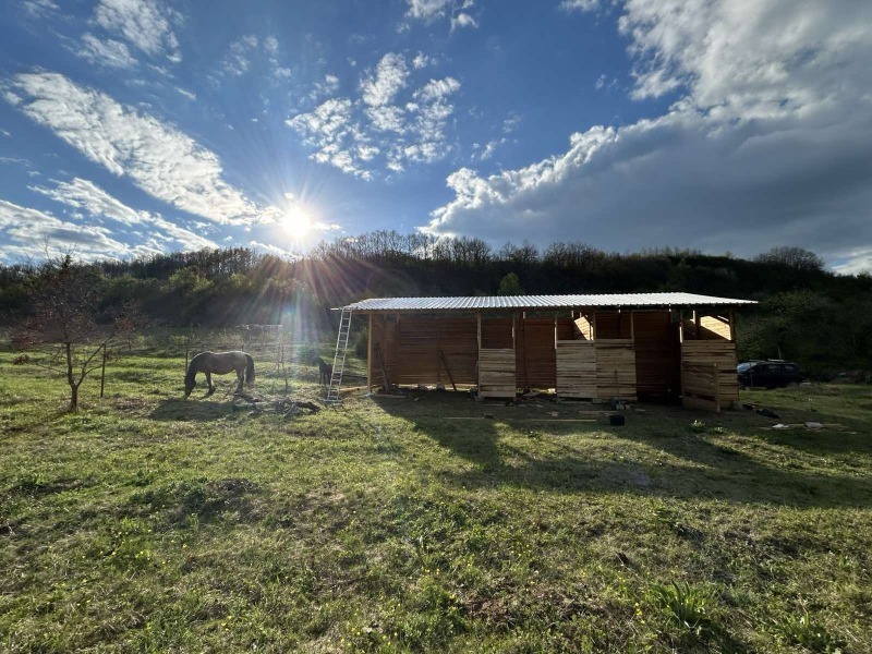 Продава ЗЕМЕДЕЛСКА ЗЕМЯ, с. Рашка Гращица, област Кюстендил