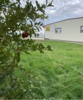 Продава ПРОМ. ПОМЕЩЕНИЕ, с. Горно Ботево, област Стара Загора, снимка 1