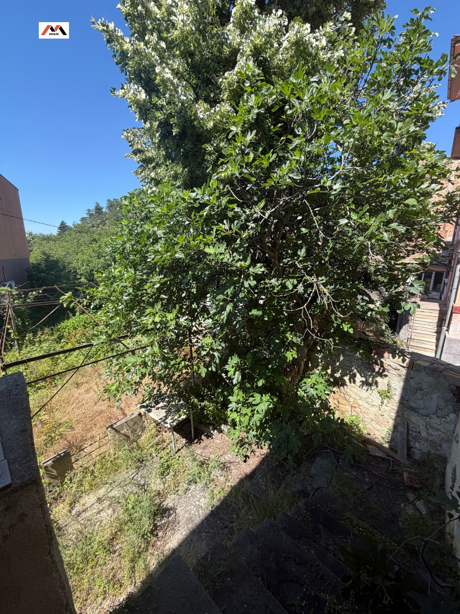 ������� ���� | Imot.bg � ����������� 12