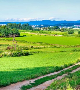 ����� ������� ������,���� �����, �. ��������