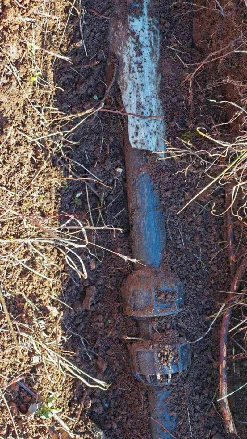 Продава ЗЕМЕДЕЛСКА ЗЕМЯ, с. Селище, област Благоевград, снимка 3 - Земеделска земя - 53048746