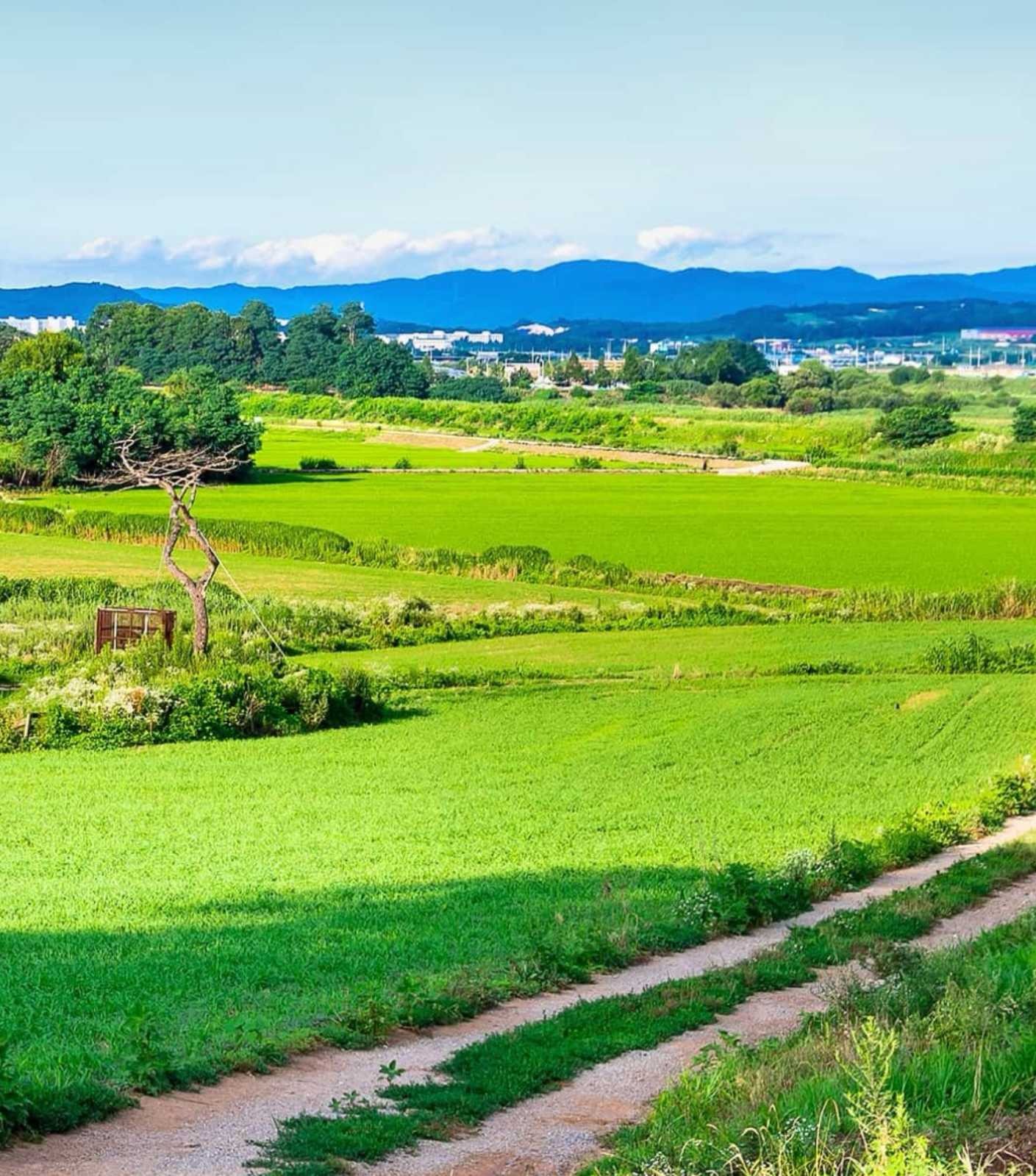 Продава ПАРЦЕЛ, гр. София, с. Подгумер