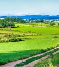 Продава  Парцел град София , с. Подгумер , 1002 кв.м | 50478485