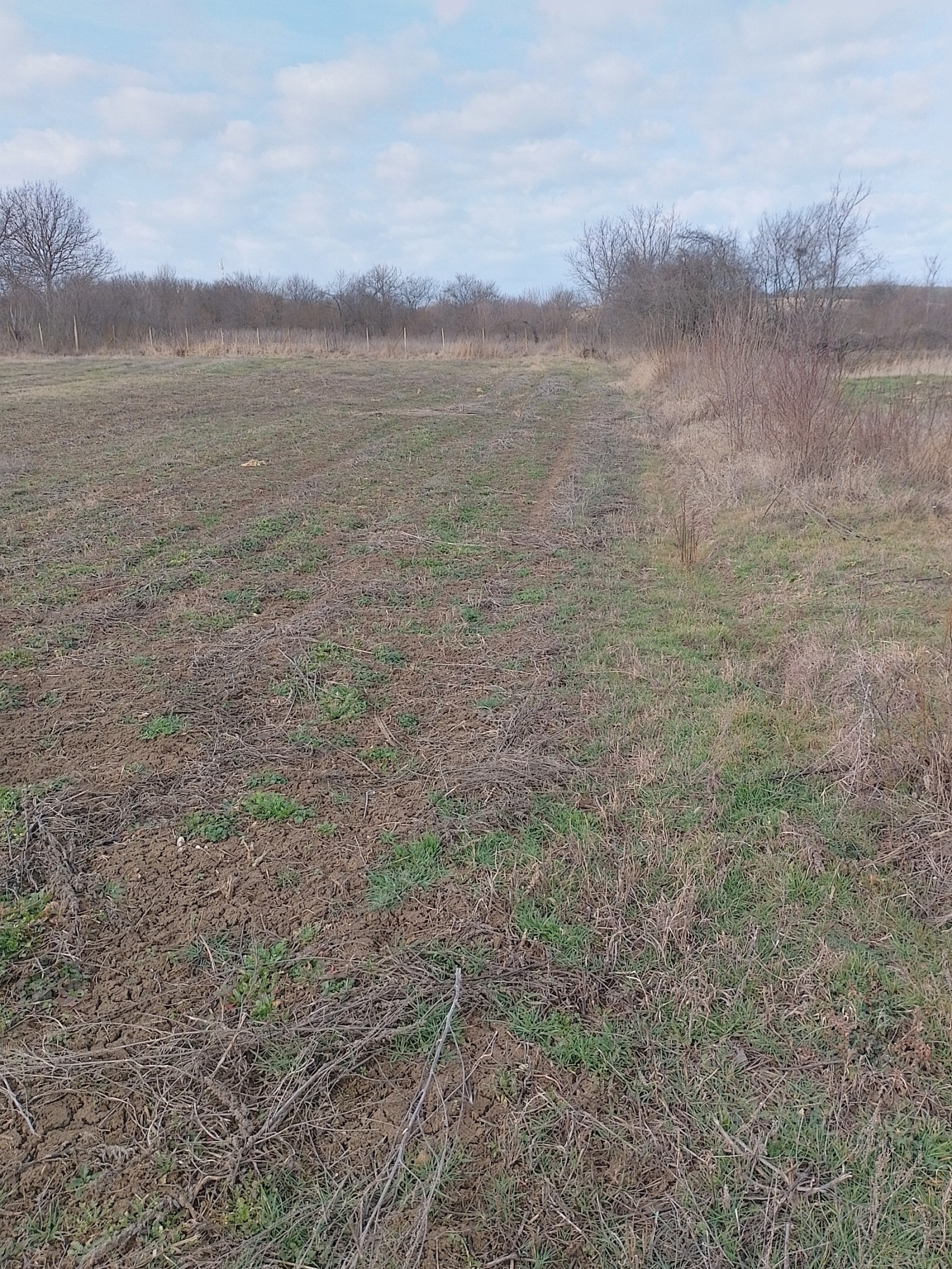 ������� ������ | Imot.bg � ����������� 1