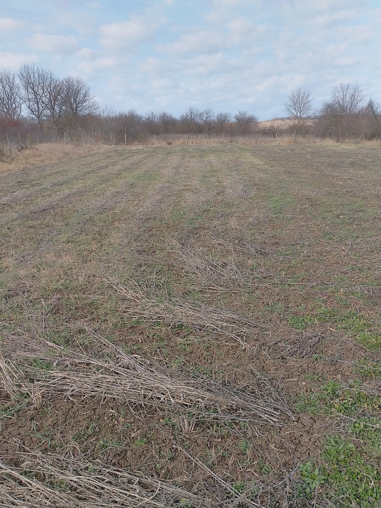 ������� ������ | Imot.bg � ����������� 2