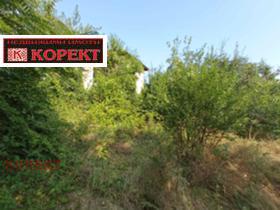 Продажба на имоти в с. Николаево, област Плевен - изображение 2 