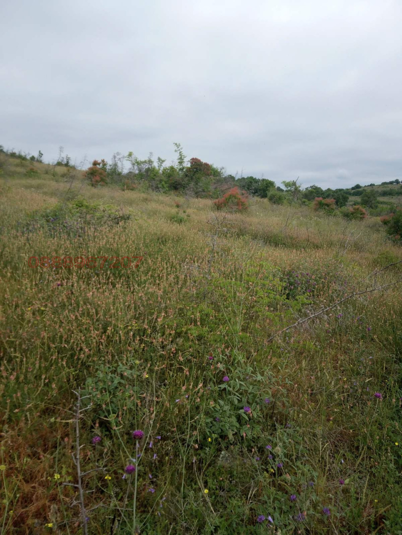 Продава ПАРЦЕЛ, с. Малка Верея, област Стара Загора, снимка 3 - Парцели - 52786469