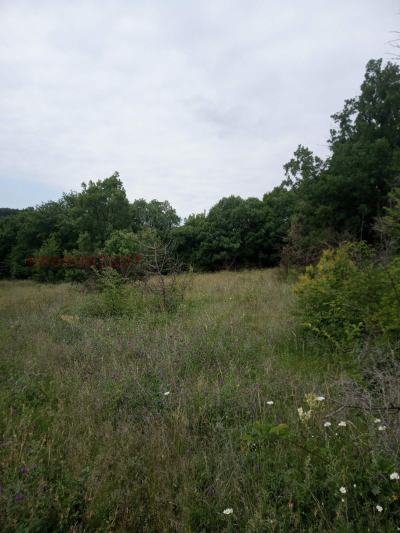 Продава ПАРЦЕЛ, с. Малка Верея, област Стара Загора, снимка 5 - Парцели - 52786469