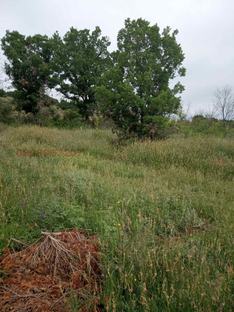 Продава ПАРЦЕЛ, с. Малка Верея, област Стара Загора