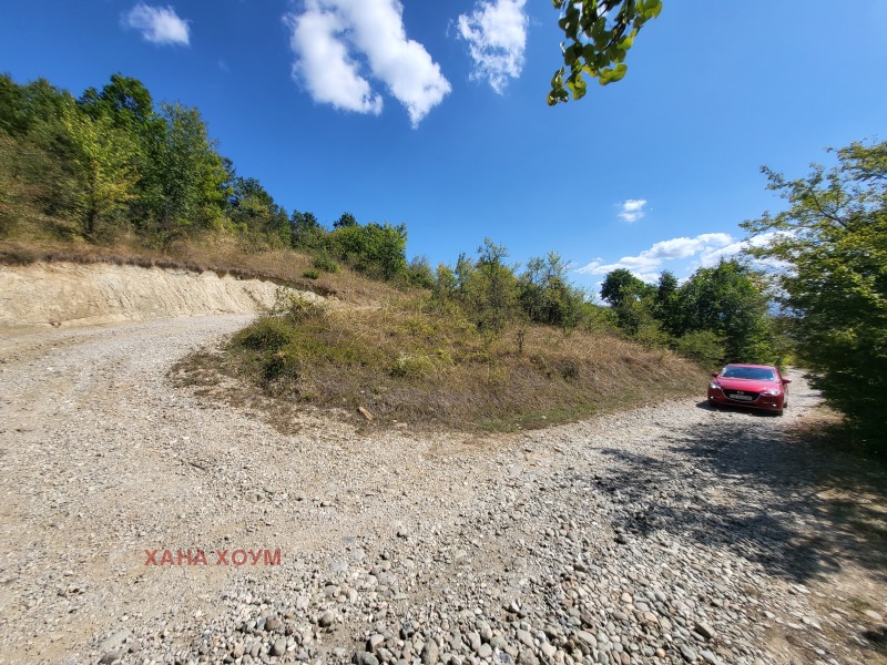 For Sale  Plot region Lovech , Gumoshtnik , 4229 sq.m | 32748092 - image [9]