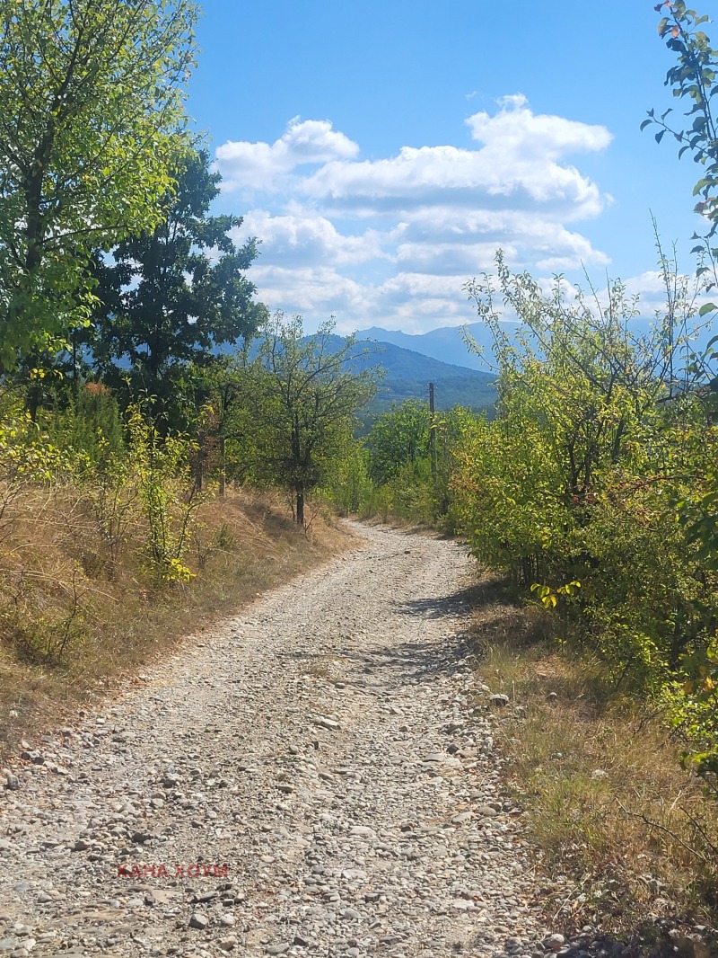 For Sale  Plot region Lovech , Gumoshtnik , 4229 sq.m | 32748092 - image [4]