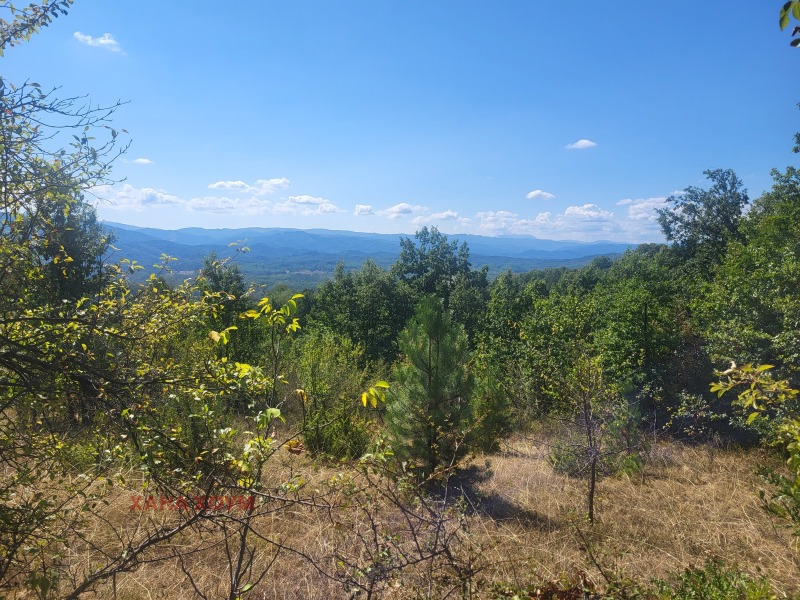For Sale  Plot region Lovech , Gumoshtnik , 4229 sq.m | 32748092