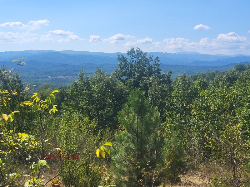 For Sale  Plot region Lovech , Gumoshtnik , 4229 sq.m | 32748092 - image [2]