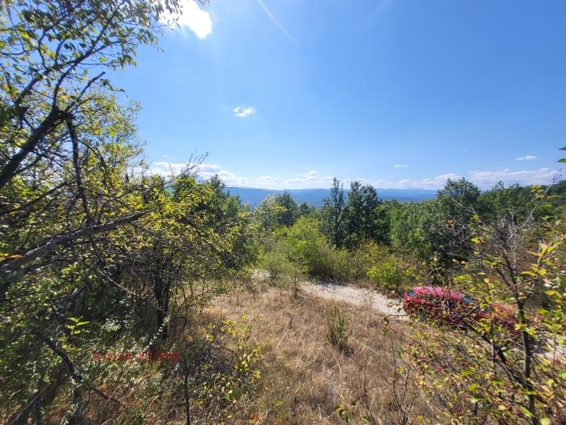 For Sale  Plot region Lovech , Gumoshtnik , 4229 sq.m | 32748092 - image [3]