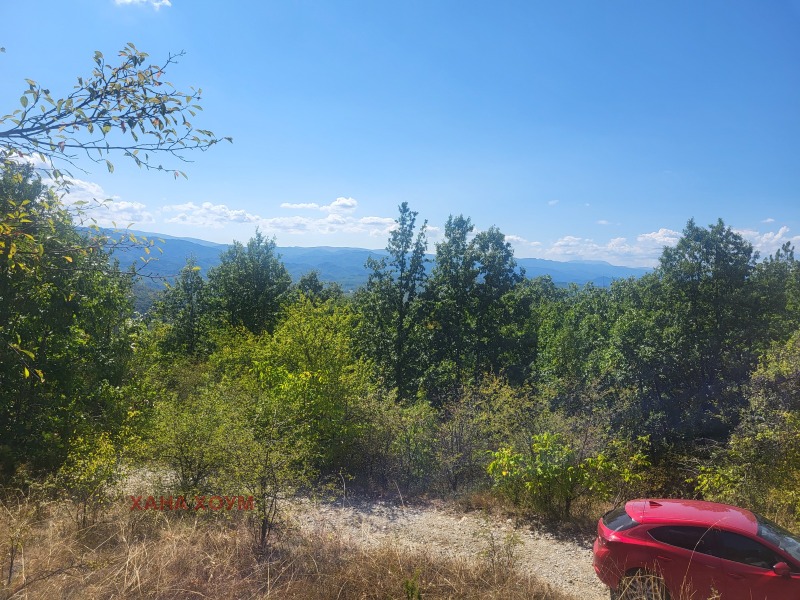 For Sale  Plot region Lovech , Gumoshtnik , 4229 sq.m | 32748092 - image [7]