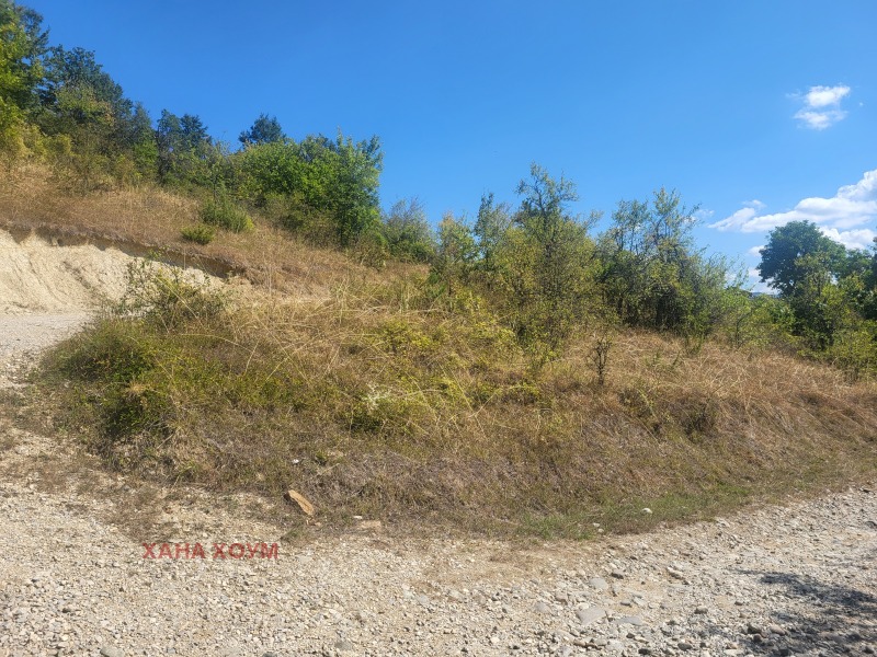 For Sale  Plot region Lovech , Gumoshtnik , 4229 sq.m | 32748092 - image [8]
