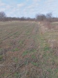Продава ПАРЦЕЛ, с. Дряновец, област Разград, снимка 1