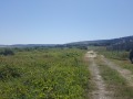 Продава ПАРЦЕЛ, с. Рогачево, област Добрич, снимка 5