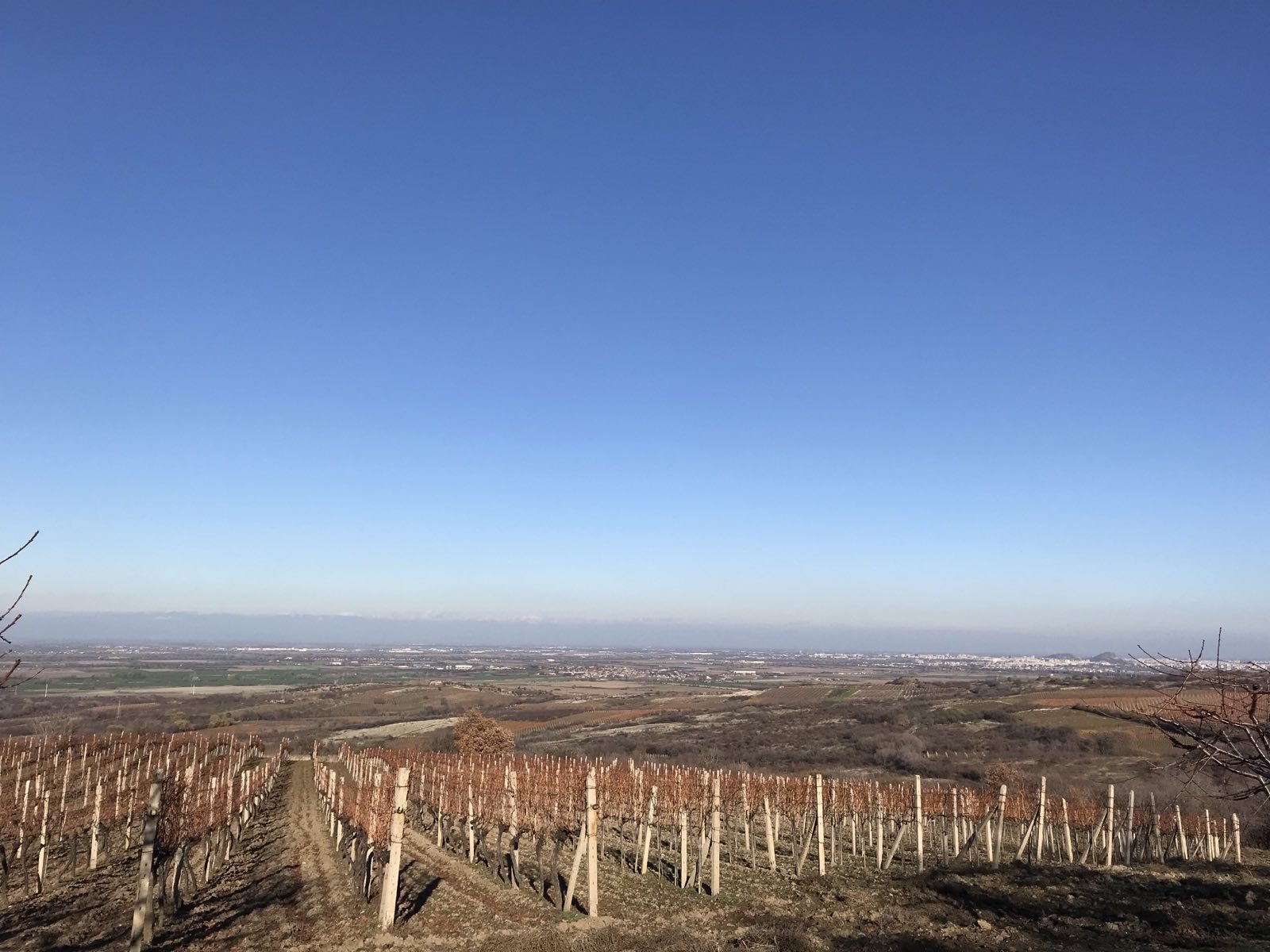 ������� ���������� ���� | Imot.bg � ����������� 4