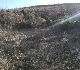 ������� ���������� ���� | Imot.bg � ����� ������ 2