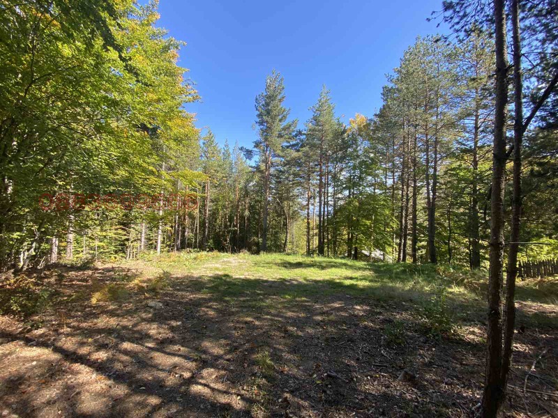 Продава ПАРЦЕЛ, гр. Разлог, област Благоевград