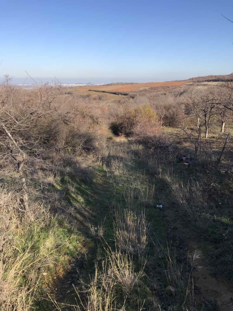 Продава ЗЕМЕДЕЛСКА ЗЕМЯ, с. Брестовица, област Пловдив, снимка 2 - Земеделска земя - 52758516