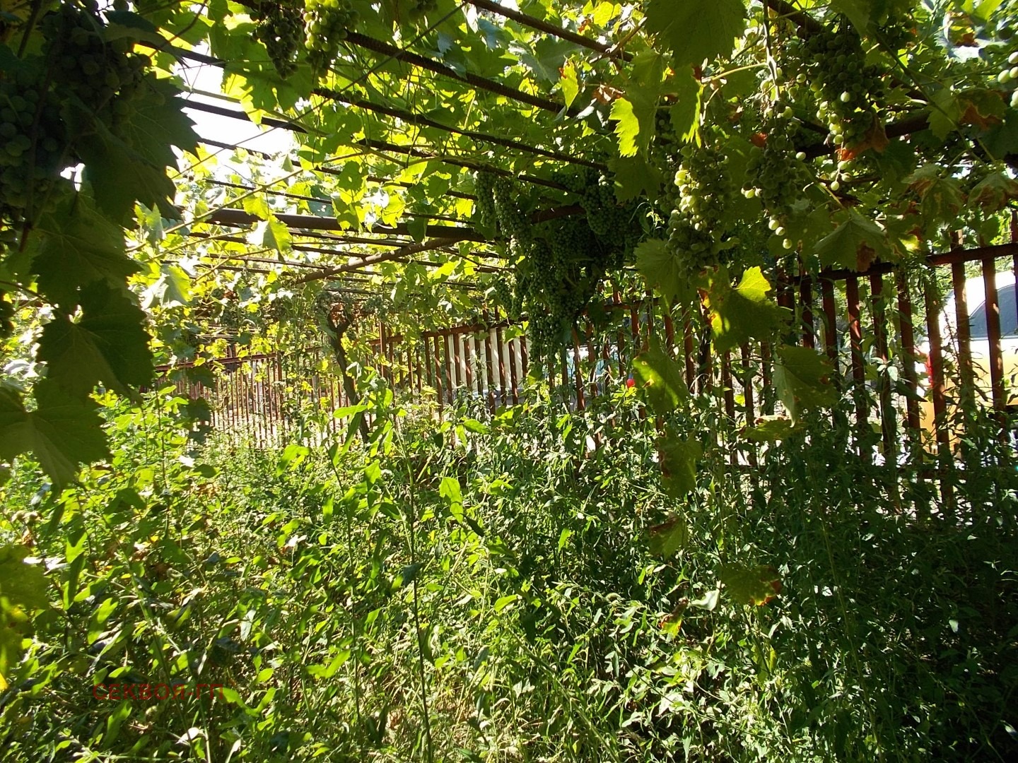 Продава КЪЩА, с. Самуилово, област Добрич, снимка 14 - Къщи - 55936130