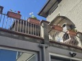 Продава КЪЩА, гр. Варна, Аспарухово, снимка 3