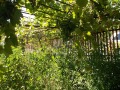 Продава КЪЩА, с. Самуилово, област Добрич, снимка 14
