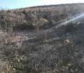 Продава ЗЕМЕДЕЛСКА ЗЕМЯ, с. Брестовица, област Пловдив, снимка 2