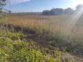 Продава ПАРЦЕЛ, област Варна, с. Габърница • 100000 € / 195583.00 лв. • 40413105 1