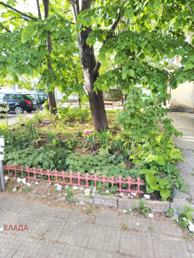 ������� 2-����� | Imot.bg � ����� ������ 15