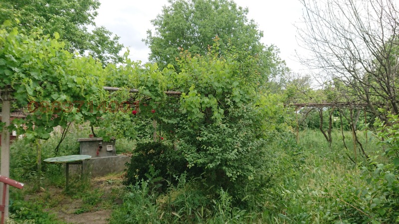 Продава КЪЩА, с. Крушуна, област Ловеч, снимка 15 - Къщи - 52783010