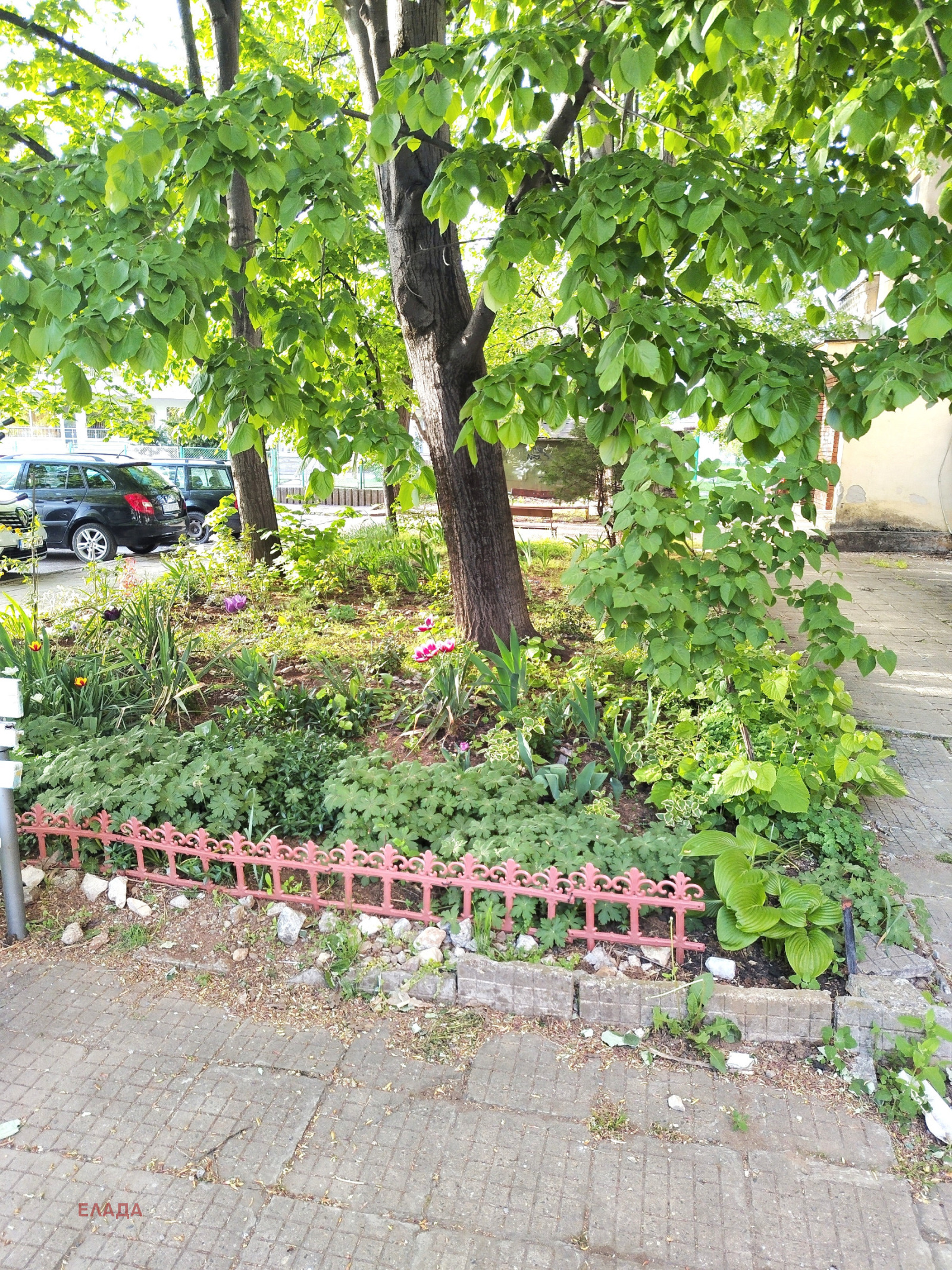 Продава 2-СТАЕН, гр. Враца, Дъбника, снимка 15 - Апартаменти - 53254021