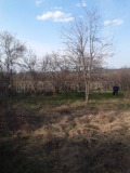 Продава ПАРЦЕЛ, с. Флорентин, област Видин, снимка 2