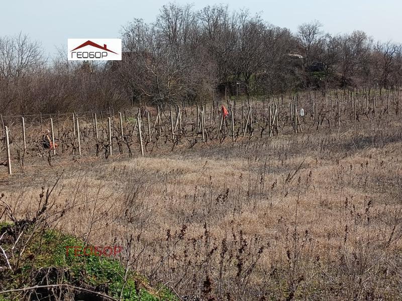 ������� ������ | Imot.bg � ����������� 2