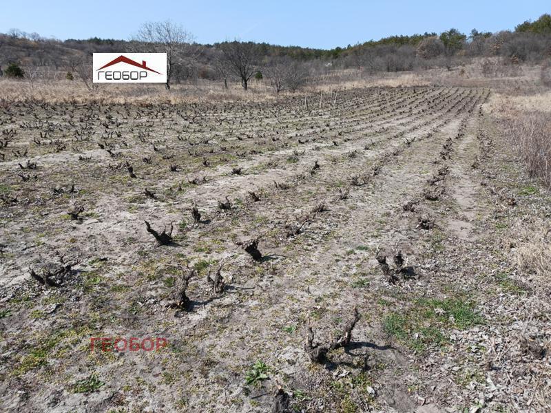 ������� ������ | Imot.bg � ����������� 3