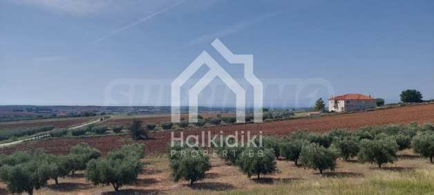 Продава ВИЛА, Извън страната, област Извън страната, снимка 16 - Вили - 51238881