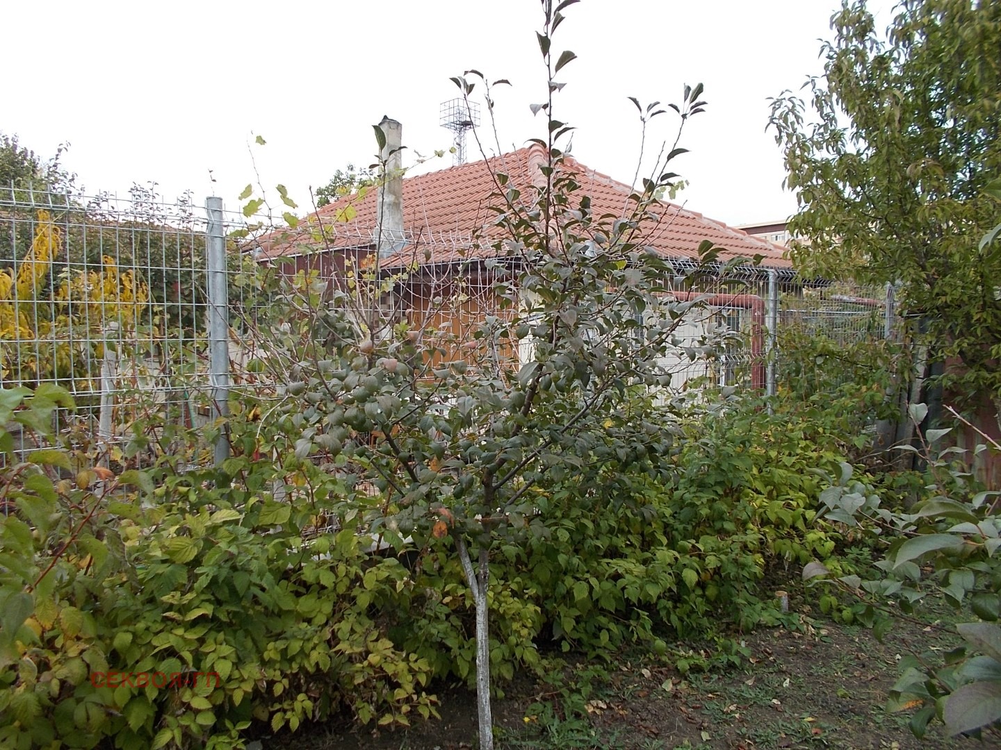 Продава КЪЩА, гр. Добрич, ЖП Гара, снимка 7 - Къщи - 56728155